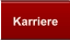 Karriere
